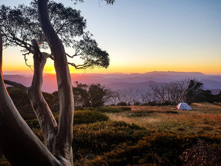 Best Camping Spots in Victoria for Families